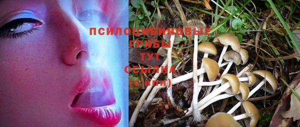 jwh Медвежьегорск