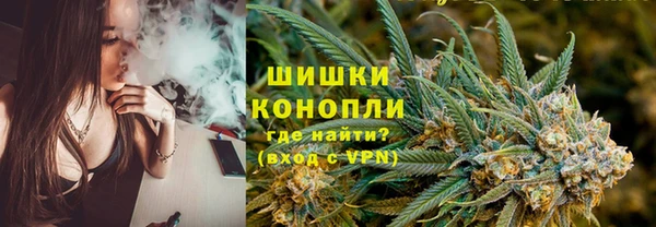 PSILOCYBIN Богородицк