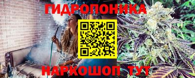 ALPHA-PVP Балаково
