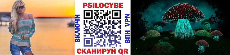 закладки  Нижнекамск  Галлюциногенные грибы прущие грибы 