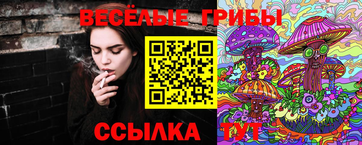Псилоцибиновые грибы Psilocybe  Вход с VPN  Галлюциногенные грибы GOLDEN TEACHER  Нижнекамск 