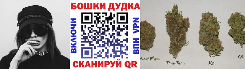 Канабис AK-47  как найти наркотики  Нижнекамск 
